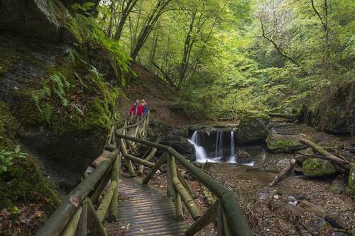 Erbachklamm-Wanderung während dem Urlaub im Hotel Birkenhof
