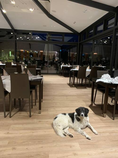 Phoebe Restaurant