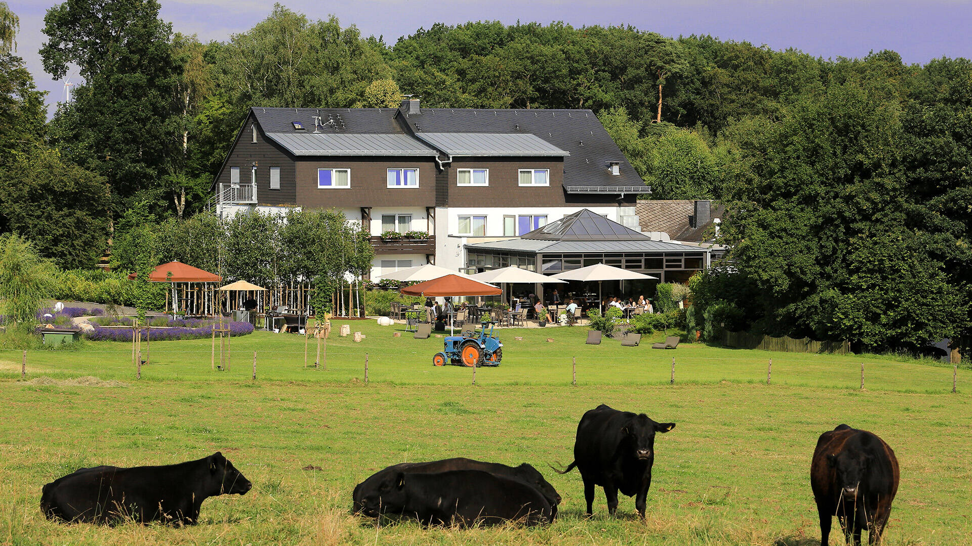 50 1920 Landidyll Birkenhof